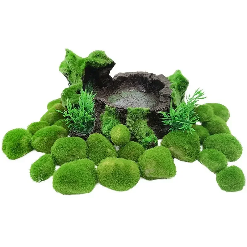 Simulated Fish Tank, Seaweed Ball