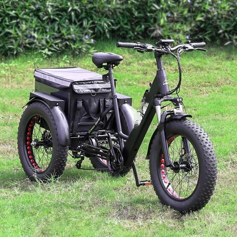 2025 Electric Tricycle Cargo Eu Warehouse 3 Three Wheel Ebike Electric Tricycle Mid Drive