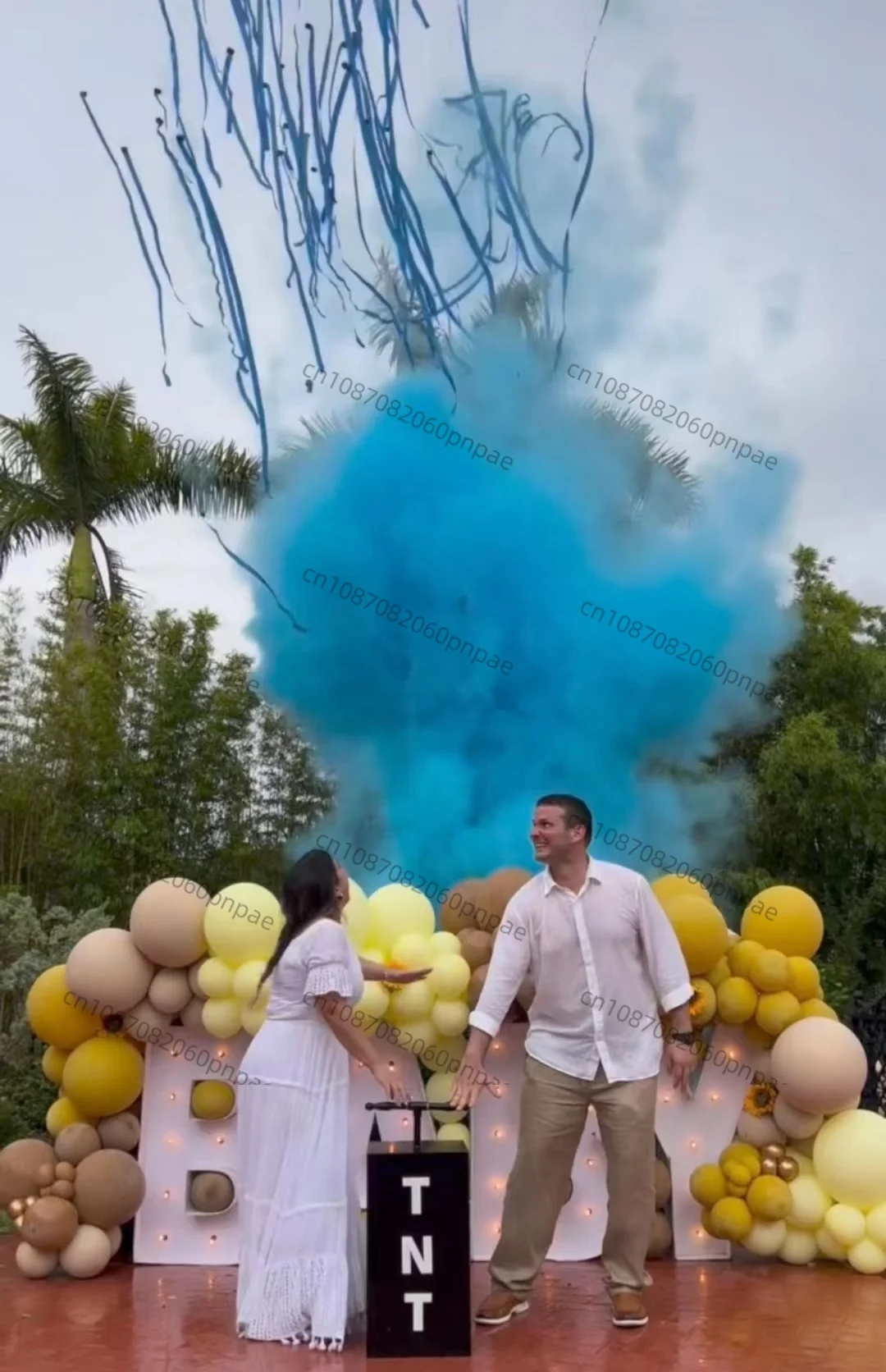 Control Gender Reveal Smoke Machine Powder Fireworks Outdoor Party Props