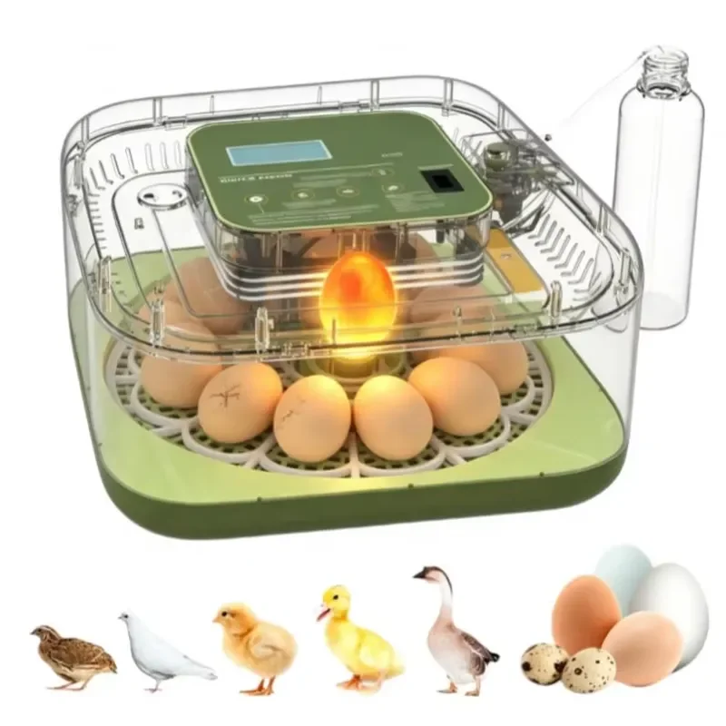 Professional Mini Egg Incubator with Automatic Turner Intelligent Temperature Control Device for Hatching Chicken Duck Goose