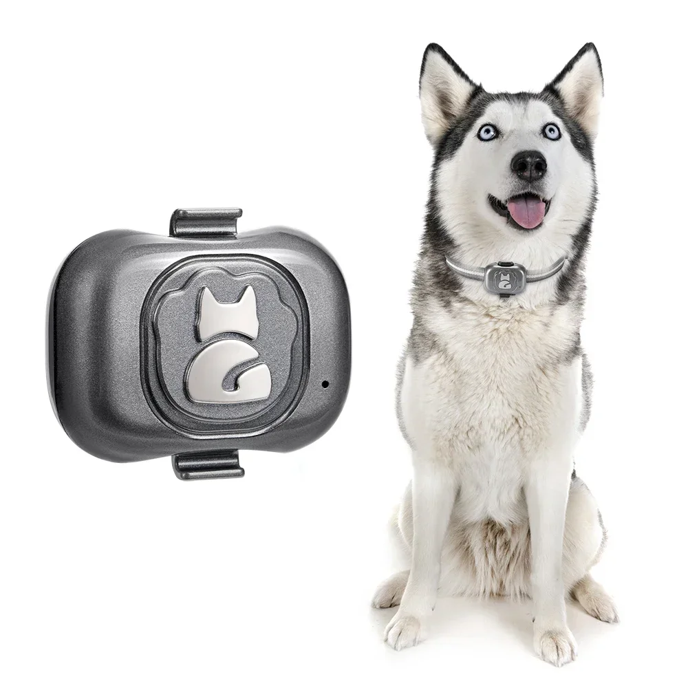 Latest IP67 Waterproof Mini GPS Pet Collar Anti-lost Real Time Tracking Dog Cat Locator