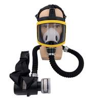 ectric Constant Air Flow Supplied Fed Full/Half Face Gas Mask Breathing System Protective Respirator Workplace Safety Device