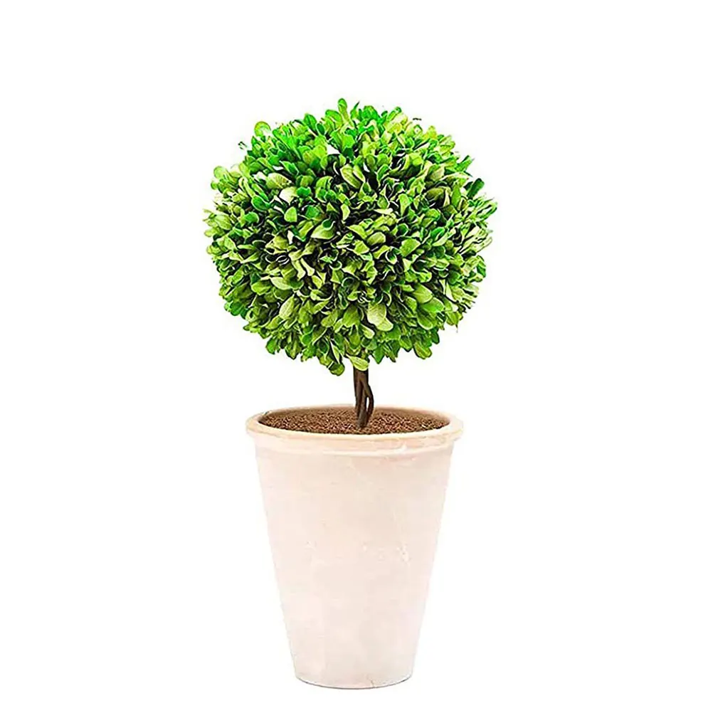 

12pcs Coconut Palm Mat Plant Liner Mulch Ring Fiber Weed Flowerpot Tree Rings Mats Soil Moisture Anti Grass Round