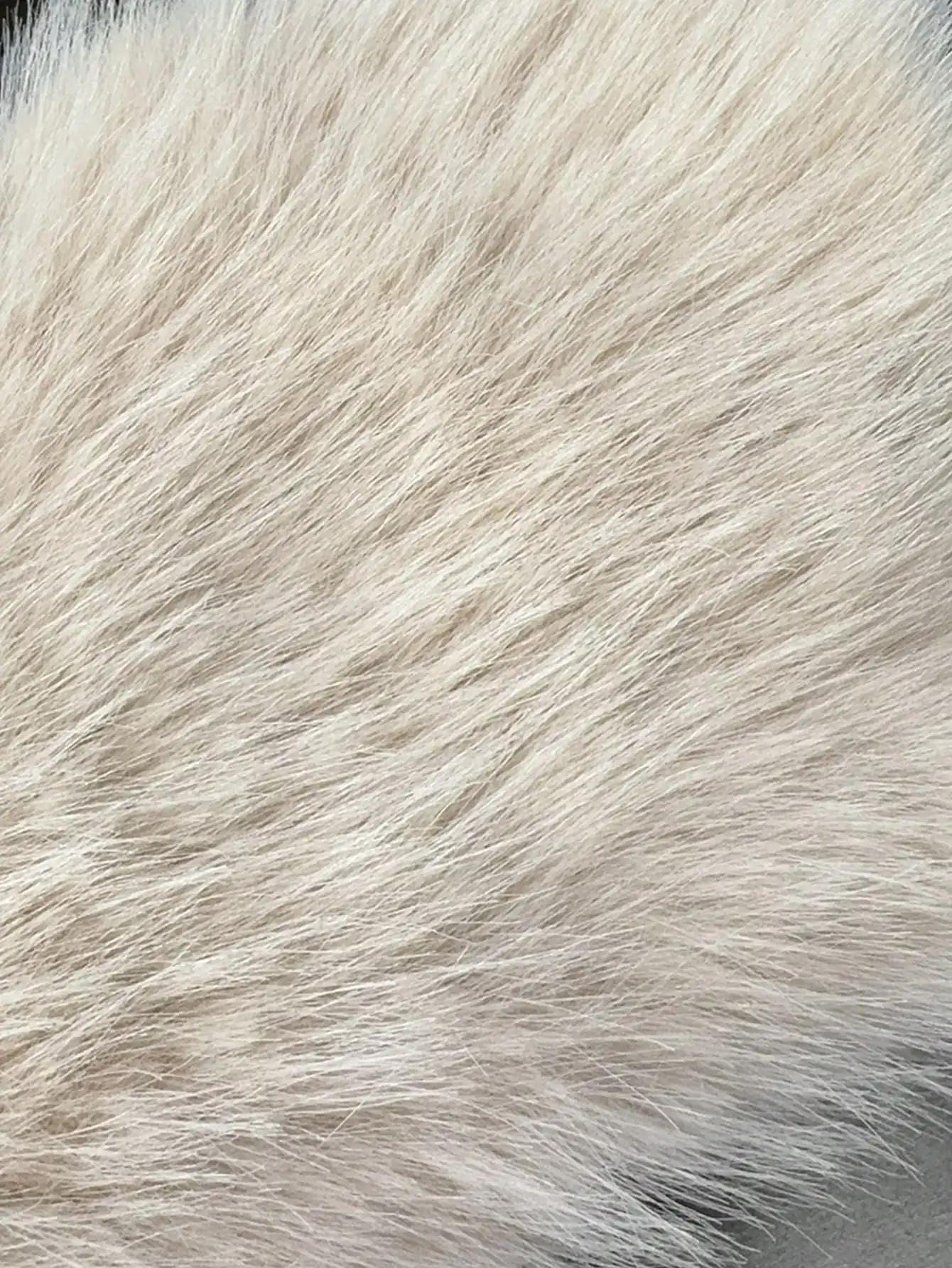 Manteau de luxe en fausse fourrure pour femme, veste chaude et moelleuse, col à revers, vêtements d'extérieur courts, hiver