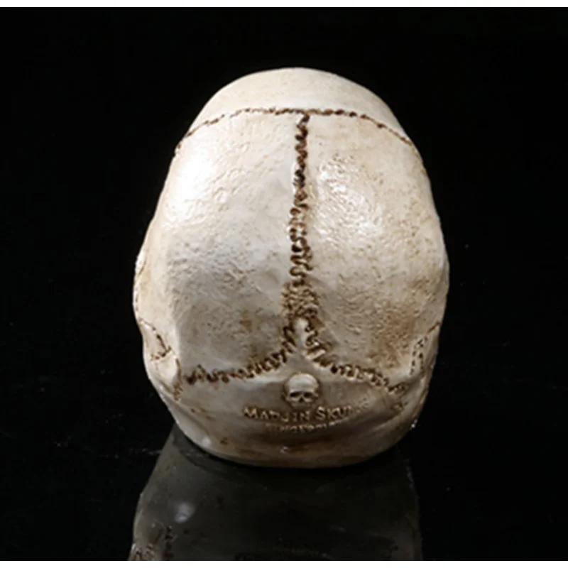 Halloween Props Home Decoration Teaching Resin Skull