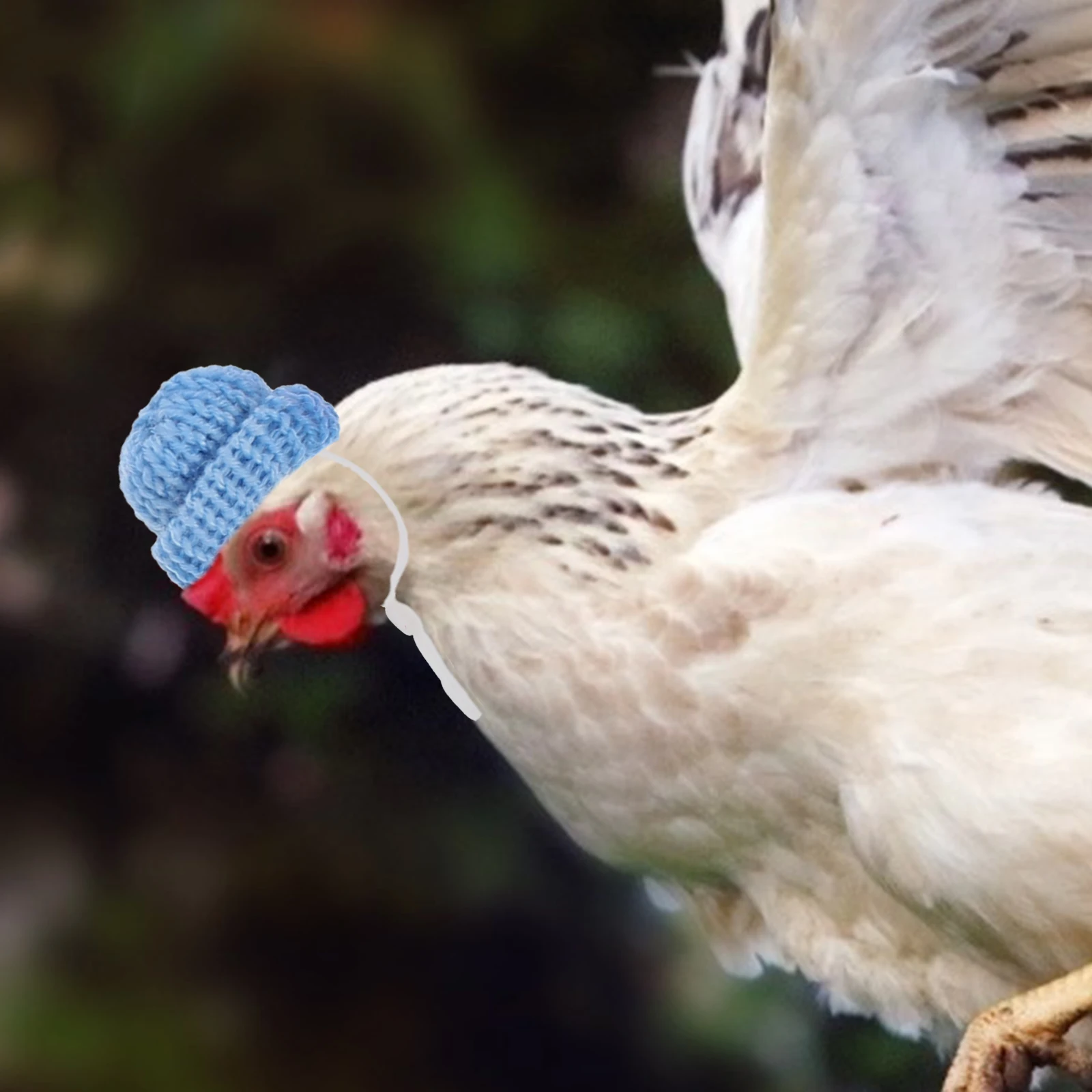 

10Pcs Chicken Hats Adjustable Mini Knitted Woolen Yarn Pet Hat Stylish Hen Decor Christmas Holiday Party Chicken Hat