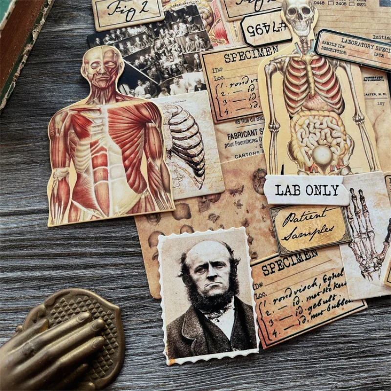 43Pcs Tim Holtz Style Medical Craft Paper Junk Journal Ephemera Human Anatomy Cardstock Collage Scrapbooking Material Paper Pack