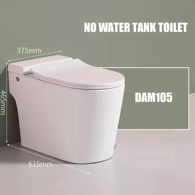Concealed Cistern Foot Sensor Flushing One Piece Ceramic Smart Wc Closet