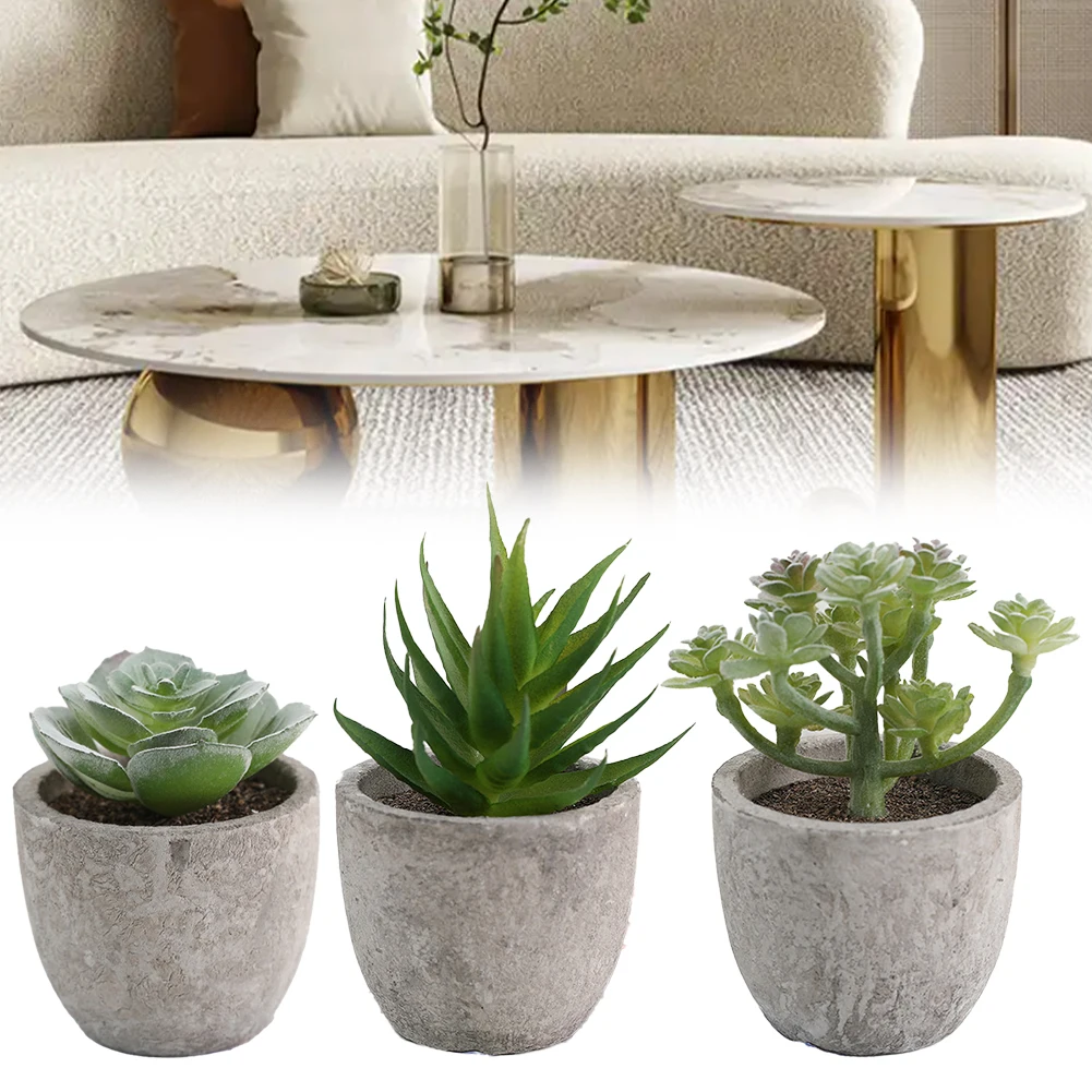 

Attractive Set Potted Artificial Succulents For Home And Office Decoration Mini Evergreen Bonsai Succulent Plants Decor