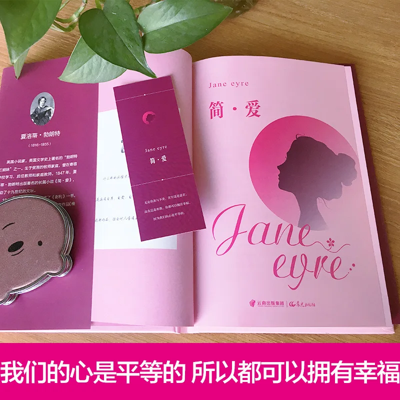 Jane Eyre, nossos corações são tudo iguais, então podemos todos ter felicidade, esta é uma série clássica de romances inspiradores para adolescentes