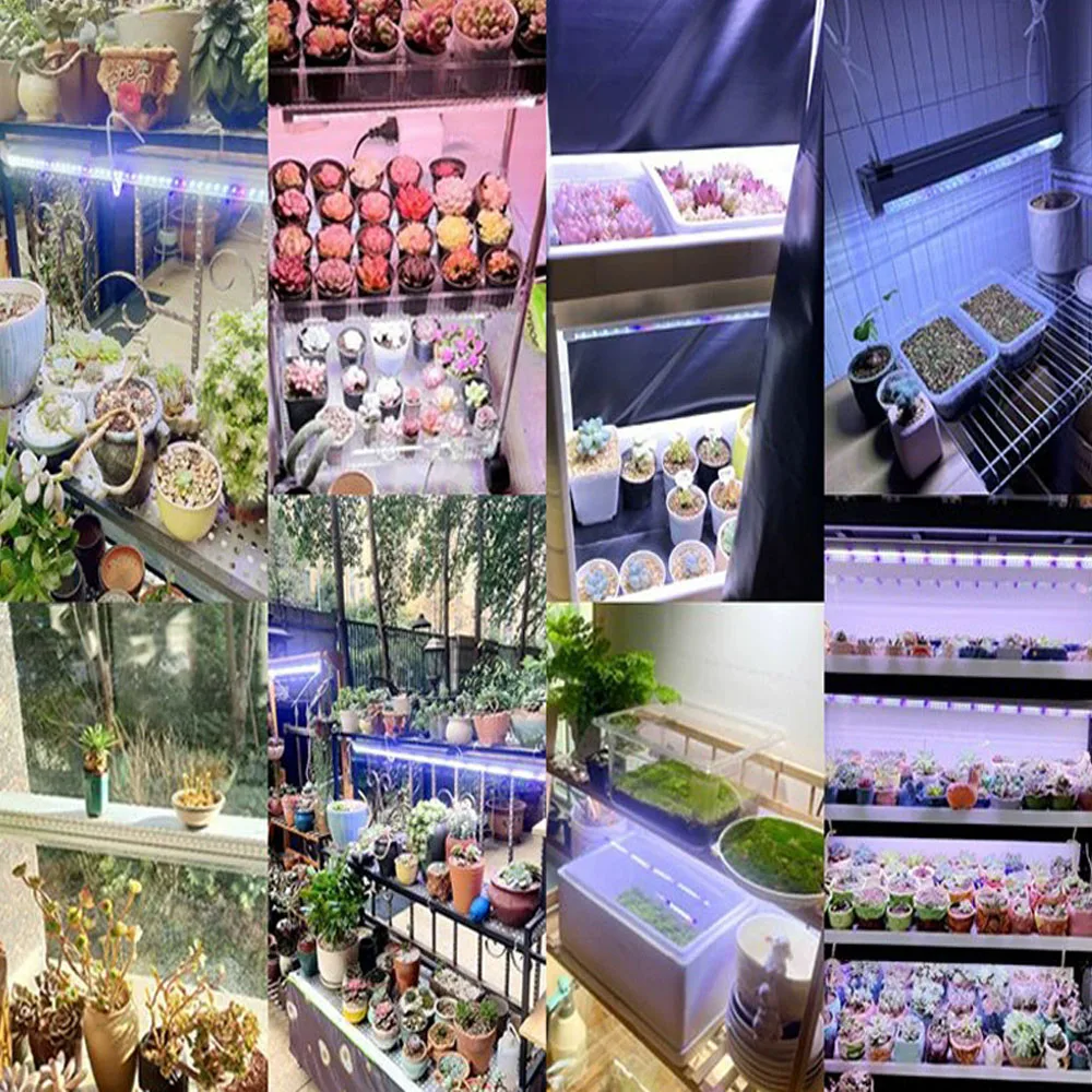 30cm Full Spectrum LED Grow Light Phyto Lamps Plant Growth Lamp For Indoor Flower VEG Seedling Succulent Macrophytes Light