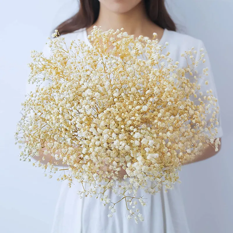 

Dried Baby's Breath Flowers Bouquet Natural White Dry Flowers Bulk Gypsophila Branches for Wedding, Table Vase, Party Garden