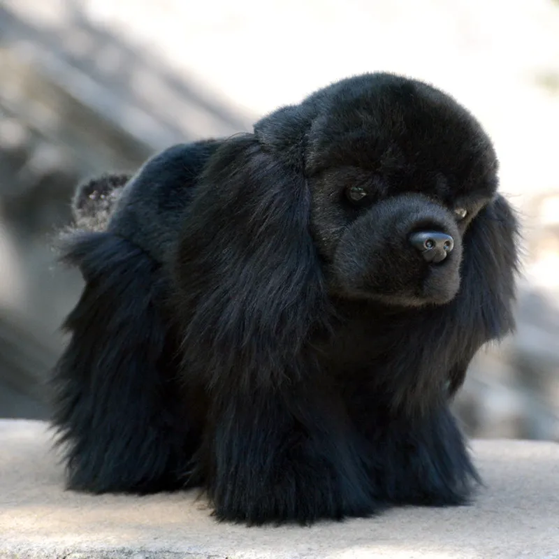 

20X29cm Realistic Cocker Spaniel Plush Toy Cute Black Dog Kids Girl Birthday Gift