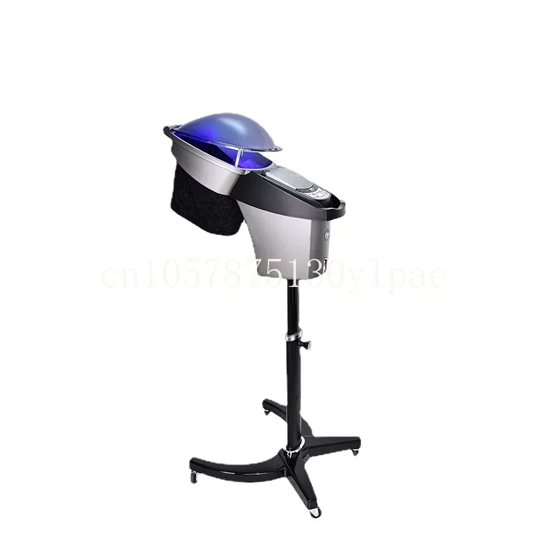 Hair Salon Steamer with Stand&Hair SPA Standing O3 Hair Steamer US Stock-Big Micromist Professional Ultrasonic Micro Mist Ozone