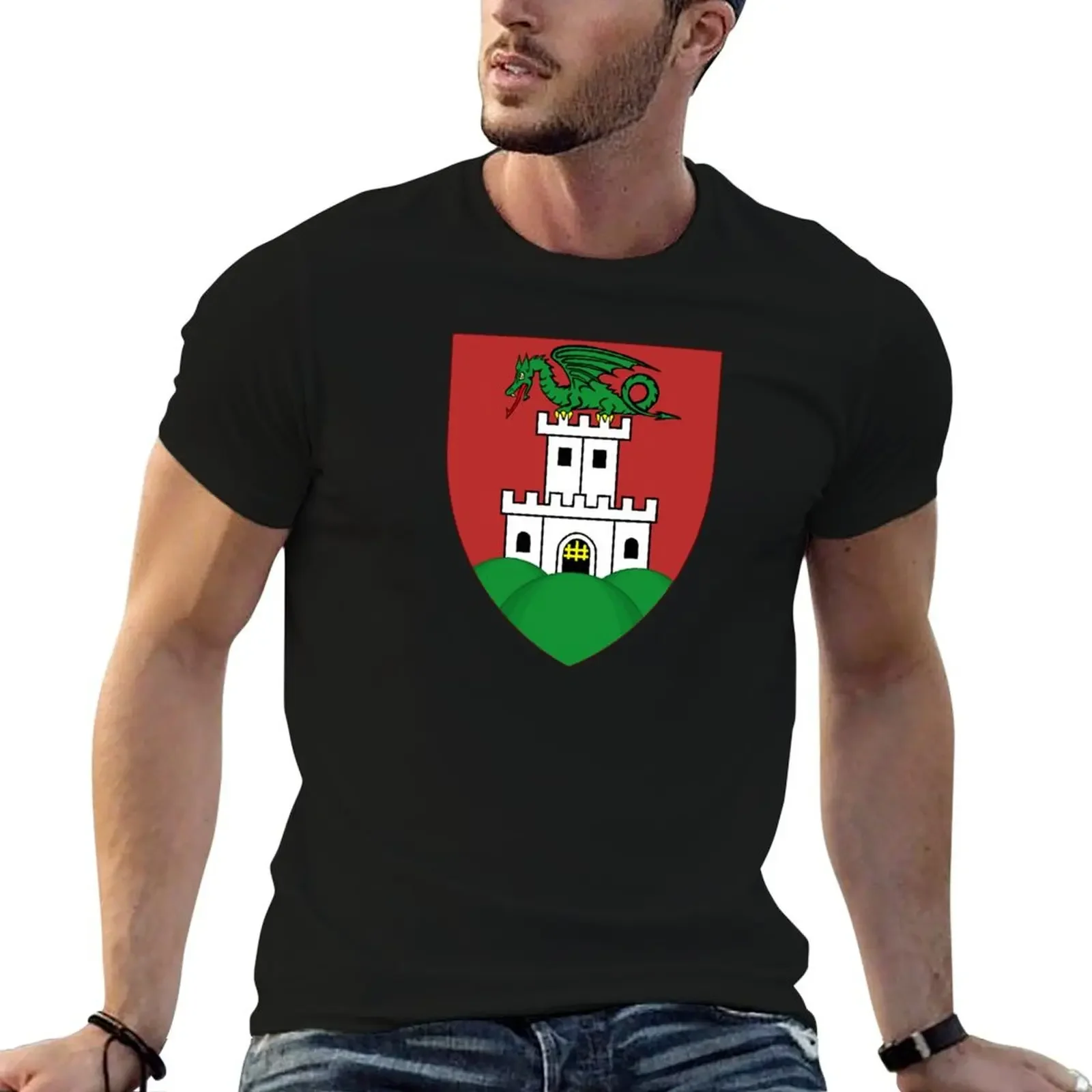 Coat of Arms of Ljubljana, Slovenia T-Shirt aesthetic clothes animal prinfor boys anime tshirt men clothings