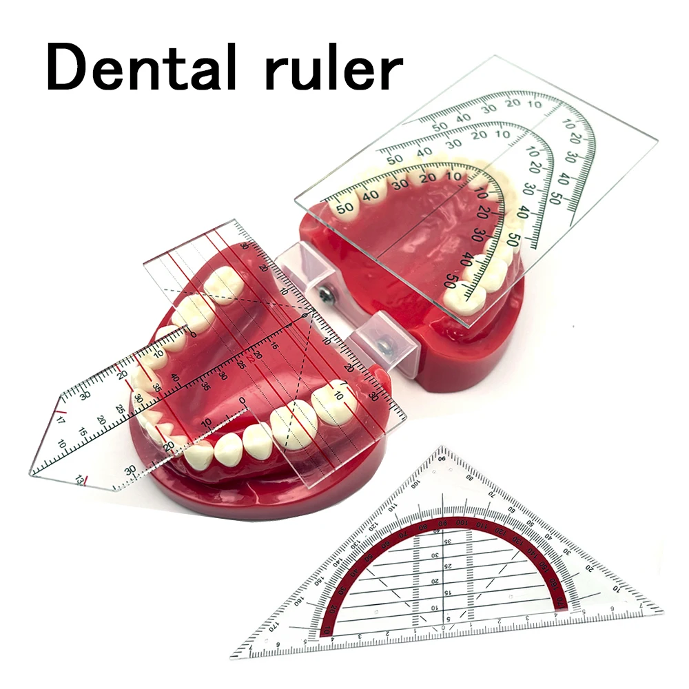 1pcs Denture Work Dental Teeth Guide Plate Ruler Dental Guide Plate Teeth Arrangement on Denture Drawing And Alignment Dental