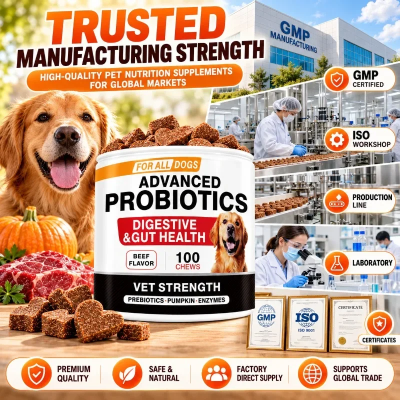 Advanced Probiotic Soft Chews for Dogs with Prebiotics Pumpkin Digestive Enzymes Beef Flavor 100 Chews 6