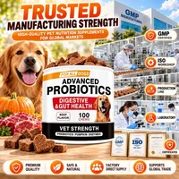 Advanced Probiotic Soft Chews for Dogs with Prebiotics Pumpkin Digestive Enzymes Beef Flavor 100 Chews 6