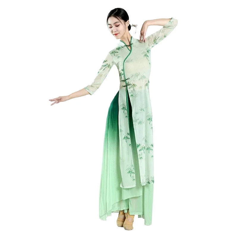 Classical Dance Costumes Ropa De Baile Folclórico De Estilo Chino ElasticGauzeWomen's Elegant Training UniformWomen's Dance Suit