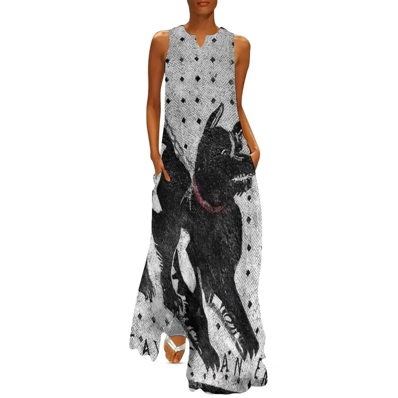 

Cave Canem - Beware of Dog - Pompeii Latin Mosaic Long Dress woman dress Dress