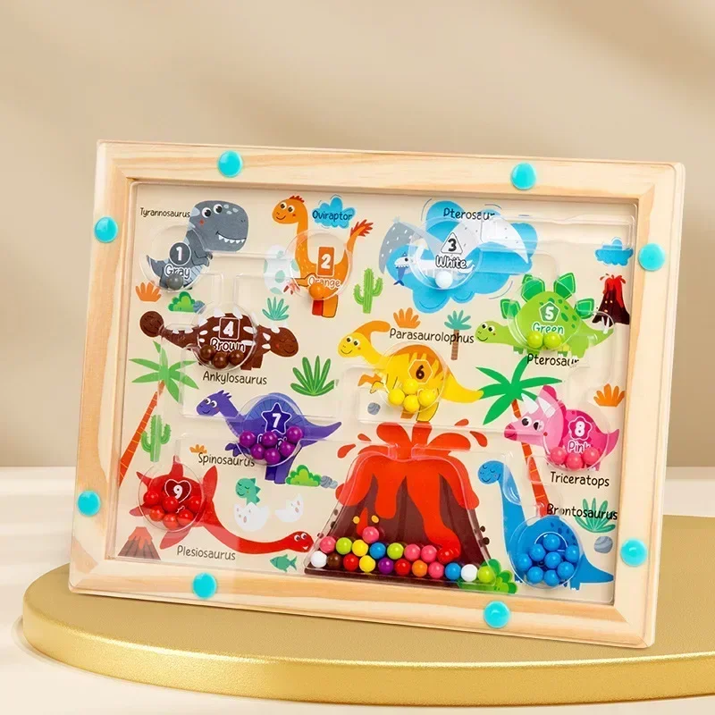 Montessori Magnetic Color Sorting Toys, Maze Board Pen Moving Bead Games, Wooden Control Sensory Play, Educational Toys for Kids
