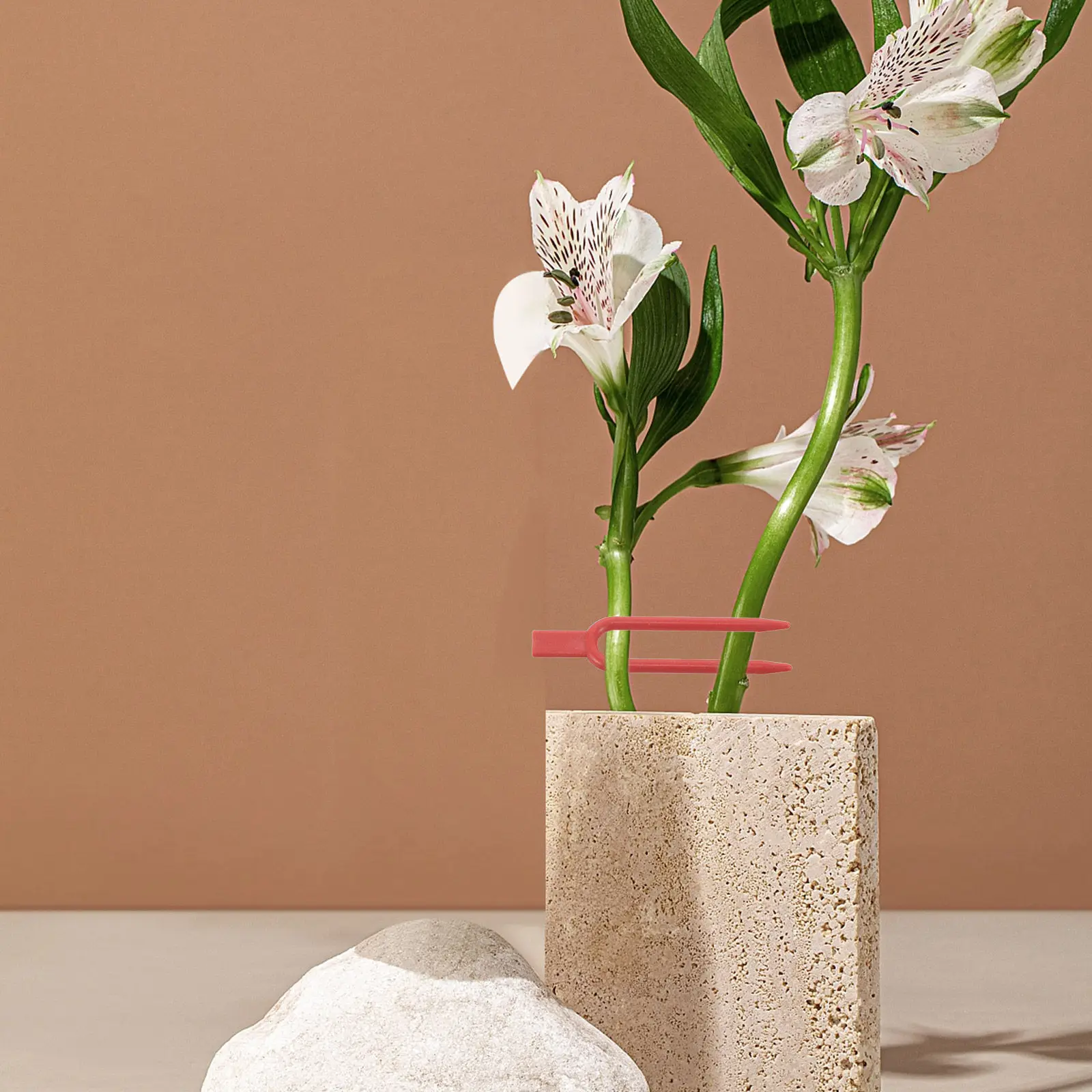 

100 шт. пластиковых фиксаторов для растений, прочные зажимы для вьющихся растений, овощей, подвязки к опорам, крепление к стене, для сада и фермы