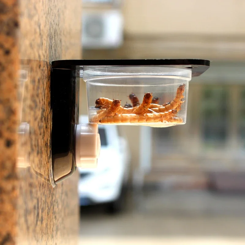 Reptile Terrarium Breeding Bowl Ideal Spider Ant Nest Geckos And Snakes Feeders Water & Food Feeding Box - Image 4