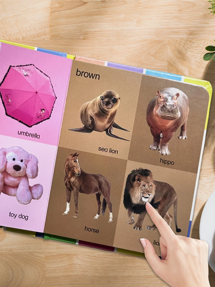 First 100 Transportation, Shape & Colour Learning Cards for Babies