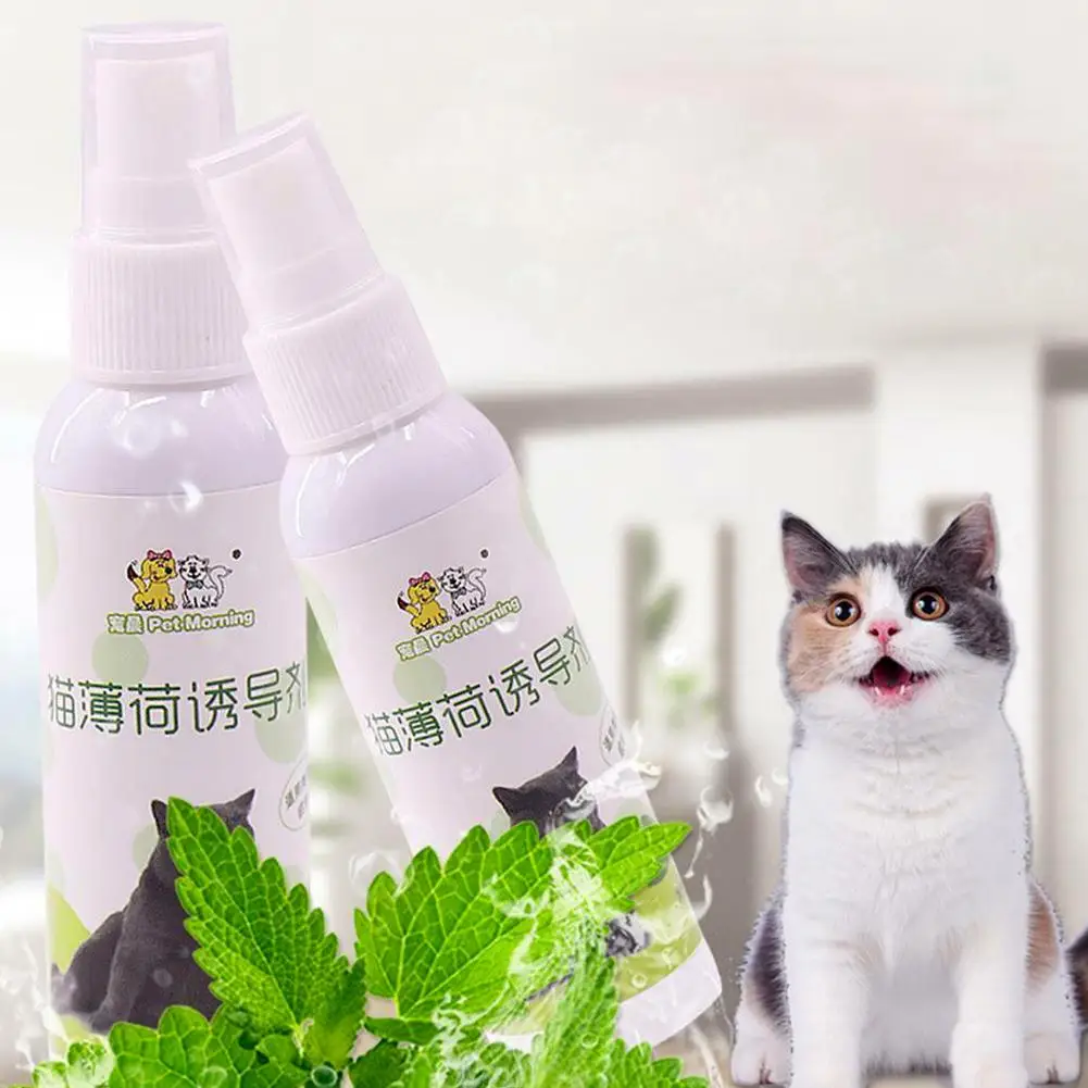 1pcs 50ml Cat Catnip Spray Natural Healthy Safe Long-term Pet CatMint Training Inducer Cat Toy Scratching Pad Effect K5Q3