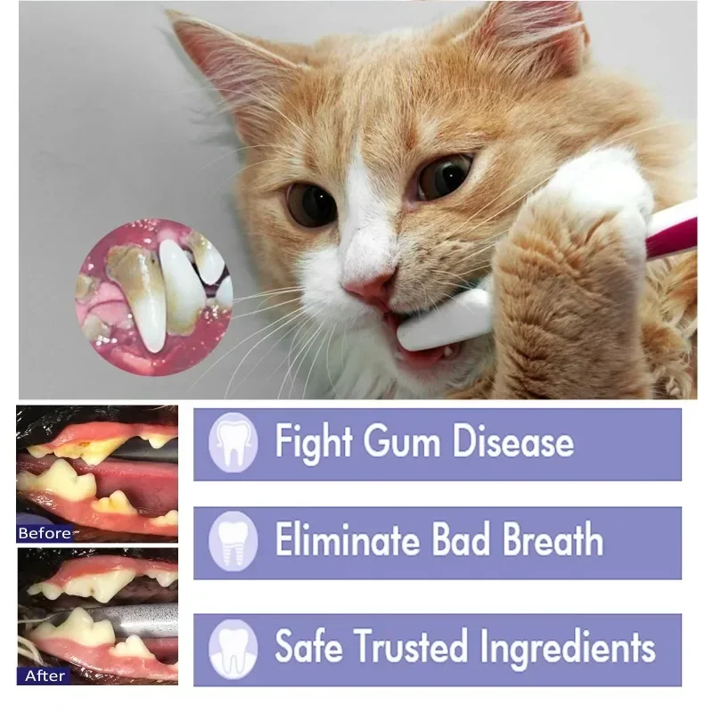 Cats Dogs Cleaning Products Pet Toothpaste Pet Oral Gum Care Cleaning Toothpaste Prevent Teeth Calculus Cats Edible Toothpaste