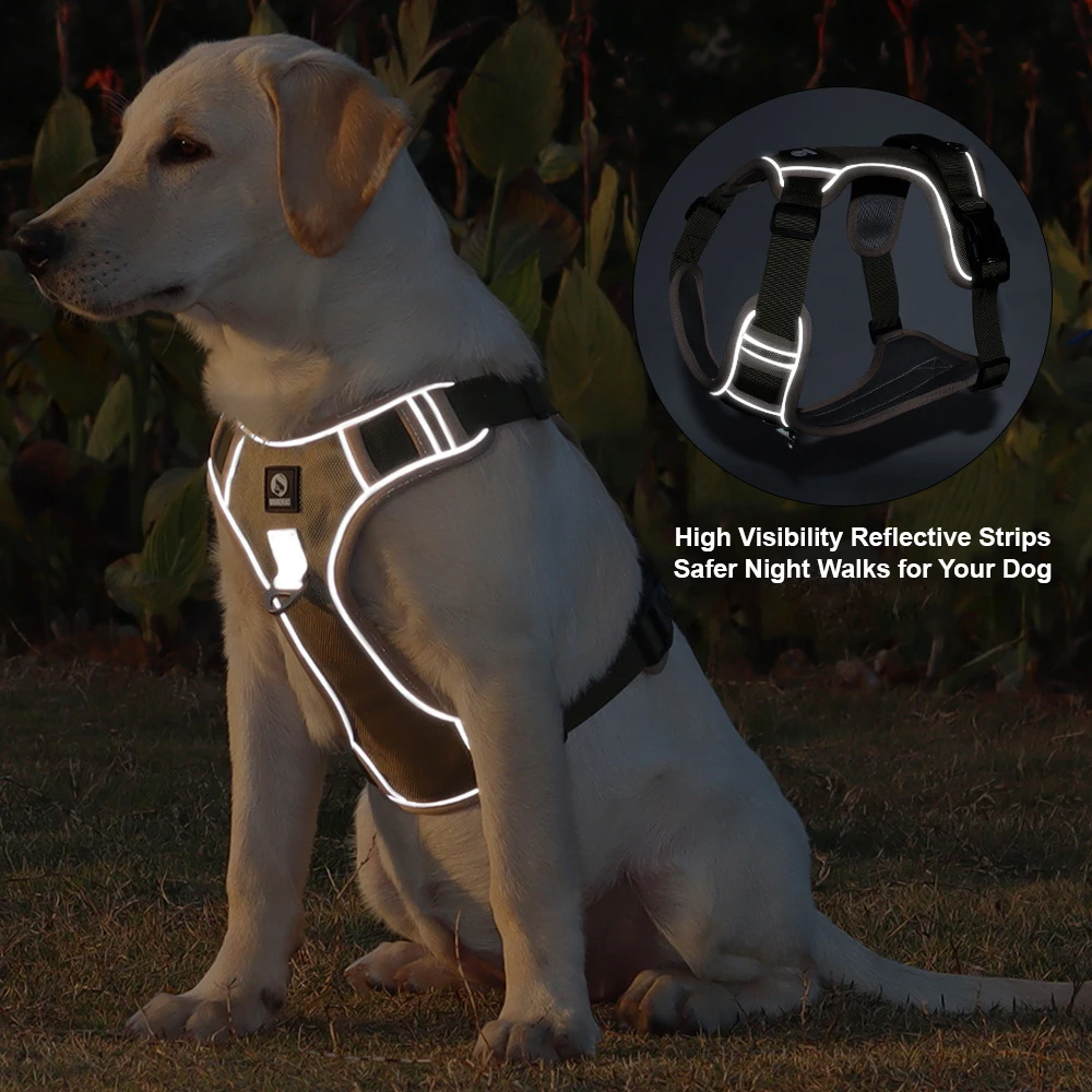 Taktisches Anti-Zug Hundegesch – No Pull Dog Harness Bewertung und Preis