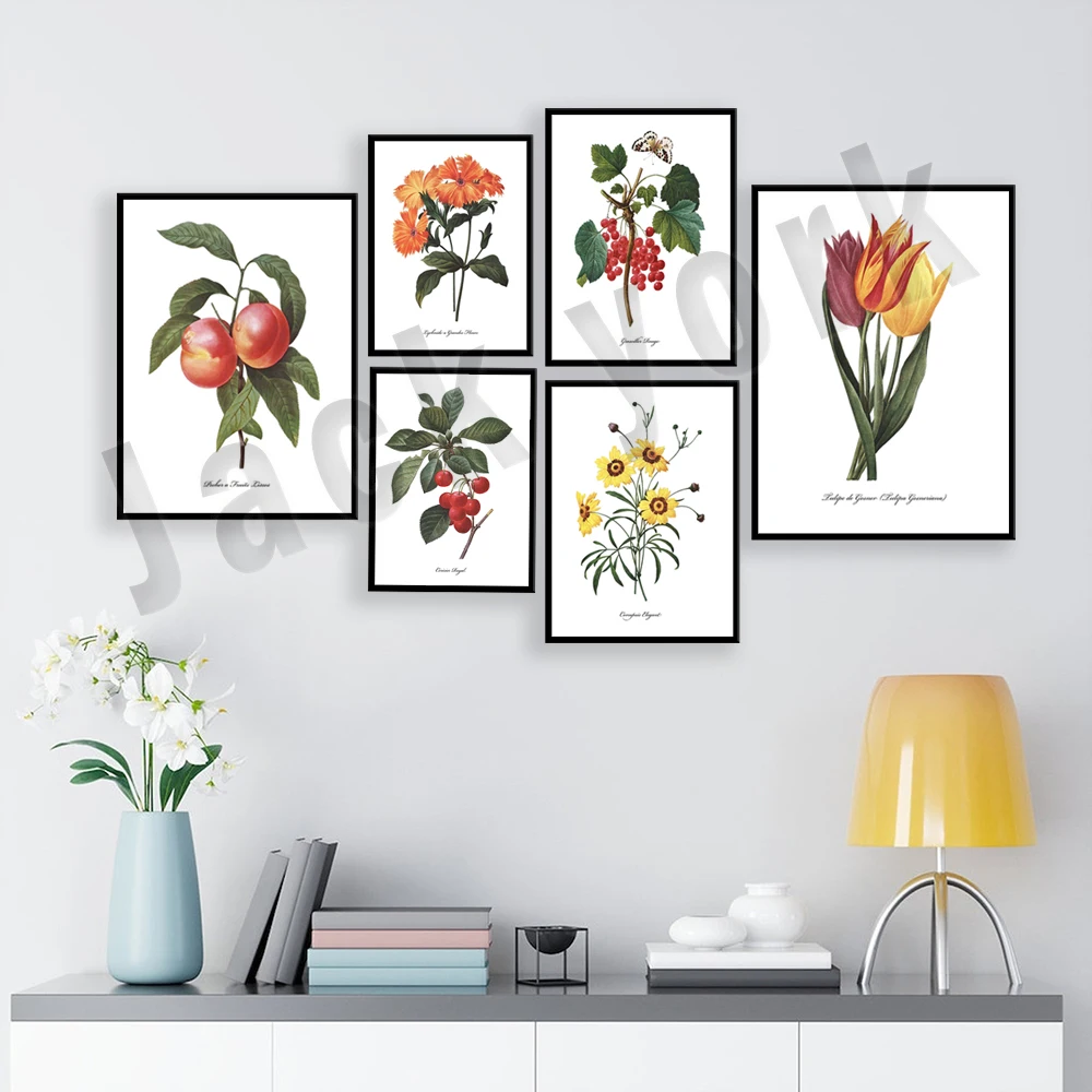Hibiscus, hydrangea, daisy, peony, red berries, pear, nectarine, magnolia, cherry, tulip French botanical floral aesthetic poste