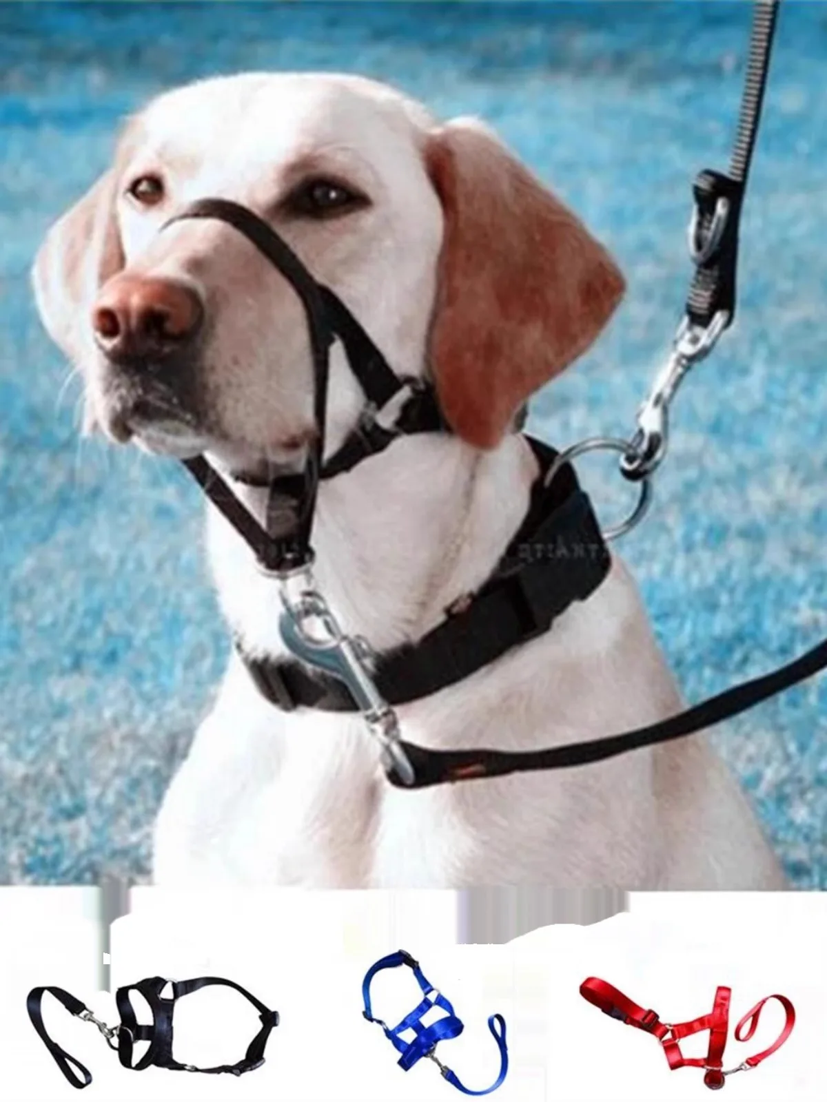 حلقة أنف جديدة حول الفم كمامة الكلب قابلة للتعديل مستلزمات الحيوانات الأليفة تمنع الكلاب من تناول الطعام بشكل عشوائي يمنع العض عشوائيًا #4