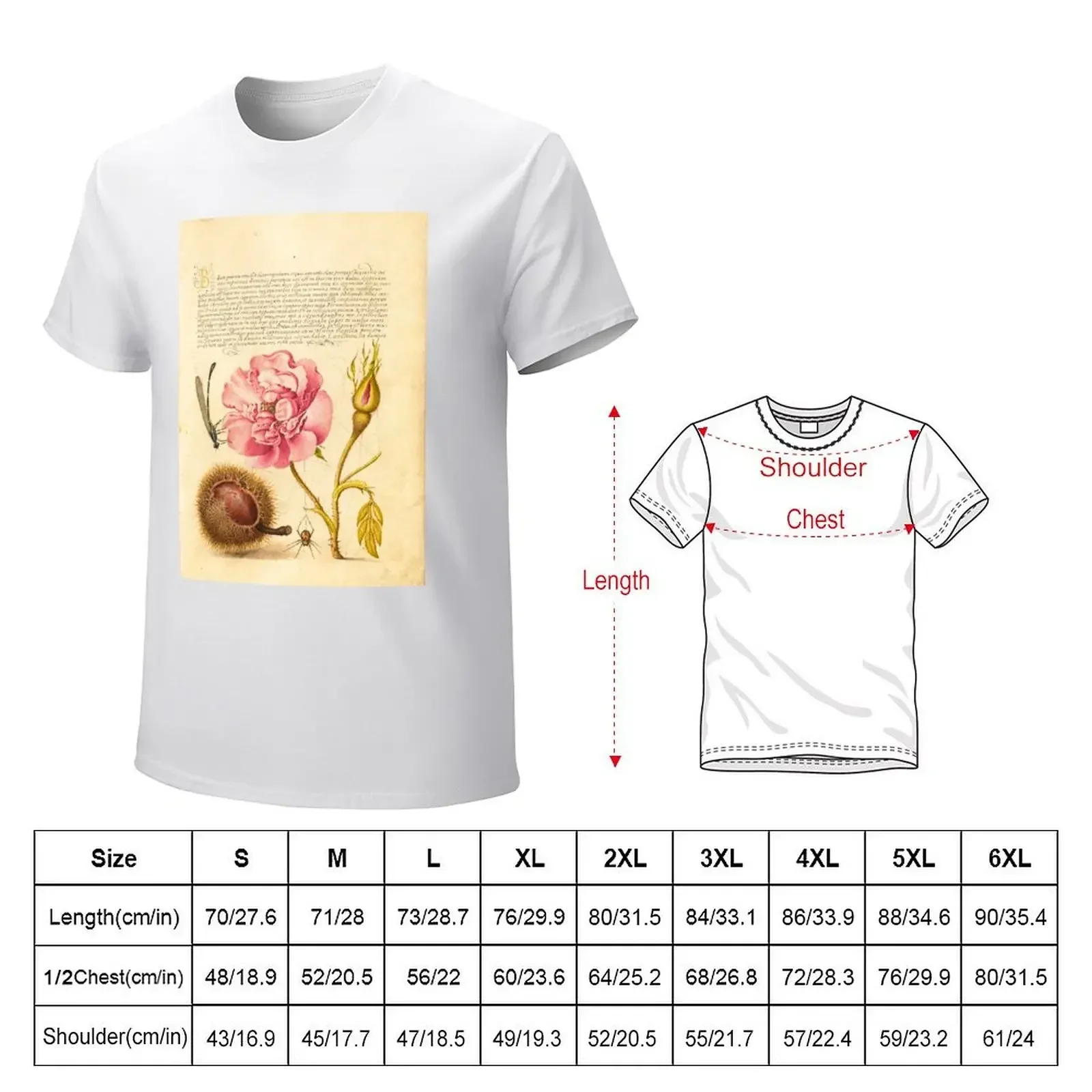 Spanish Chestnut, English Iris, and European Filbert - Medieval Illuminated Manuscript T-shirt