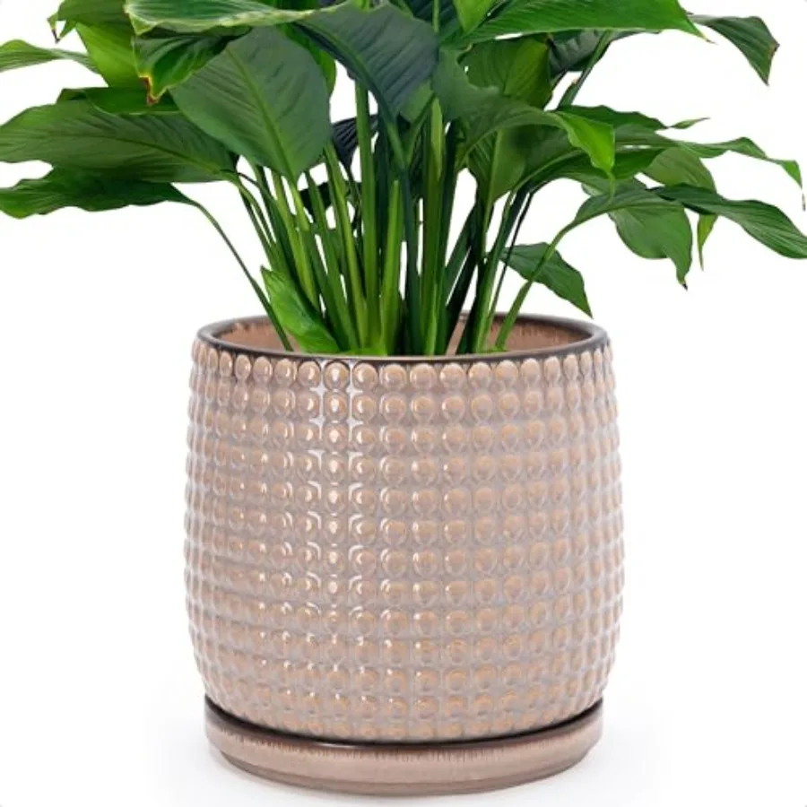 

8-дюймовый керамический цветочный горшок из керамогранита с бусинами - кашпо с дренажными отверстиями и поддонами для комнатных суккулентов или цветов