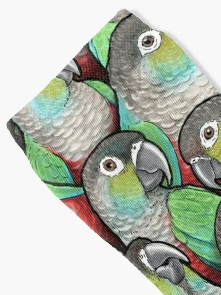 Crimson-bellied Conures Socks fashionable gifts winter men cotton high quality Ladies Socks Men's