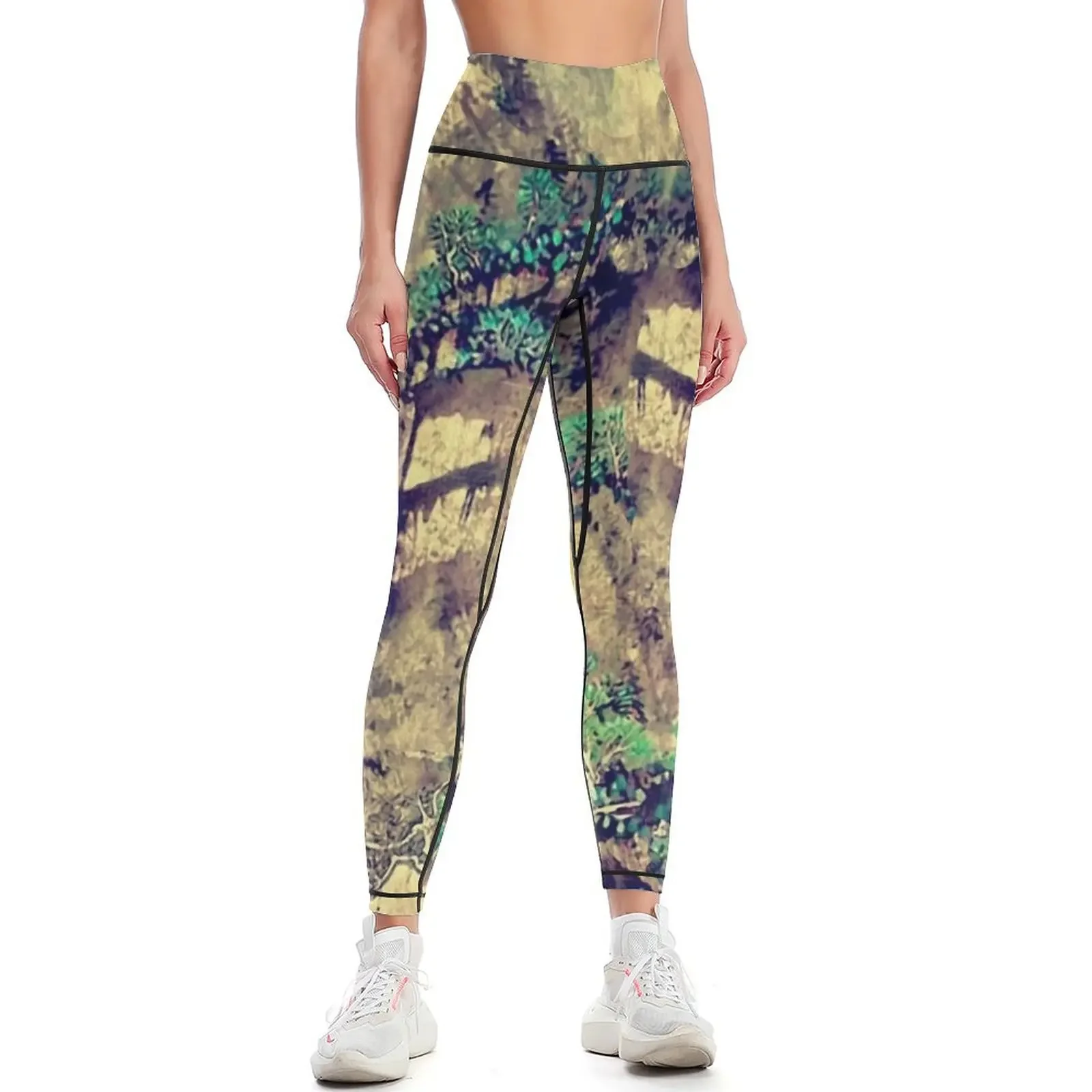 

The Hills of Yunnan Leggings Women sports gym clothing Jogger pants Female legging pants Womens Leggings