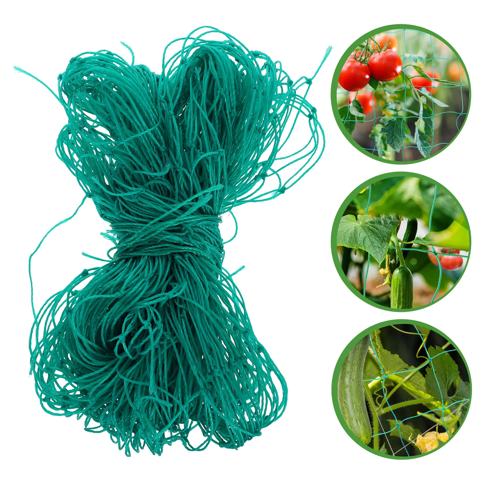 

Premium Plant Climbing Net Garden Trellis Mesh Vine Support Netting For Flowers Bean Plants Outdoor Decoration