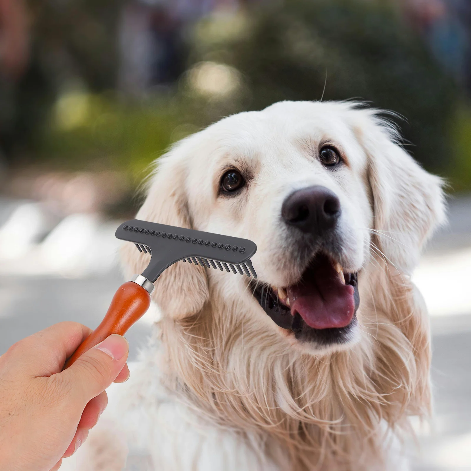 

Dog Hair Comb Large Breed Dematting Tool for Golden Retrievers Labradors Shedding Grooming Brush Pet Hair Removal Dog Detangler