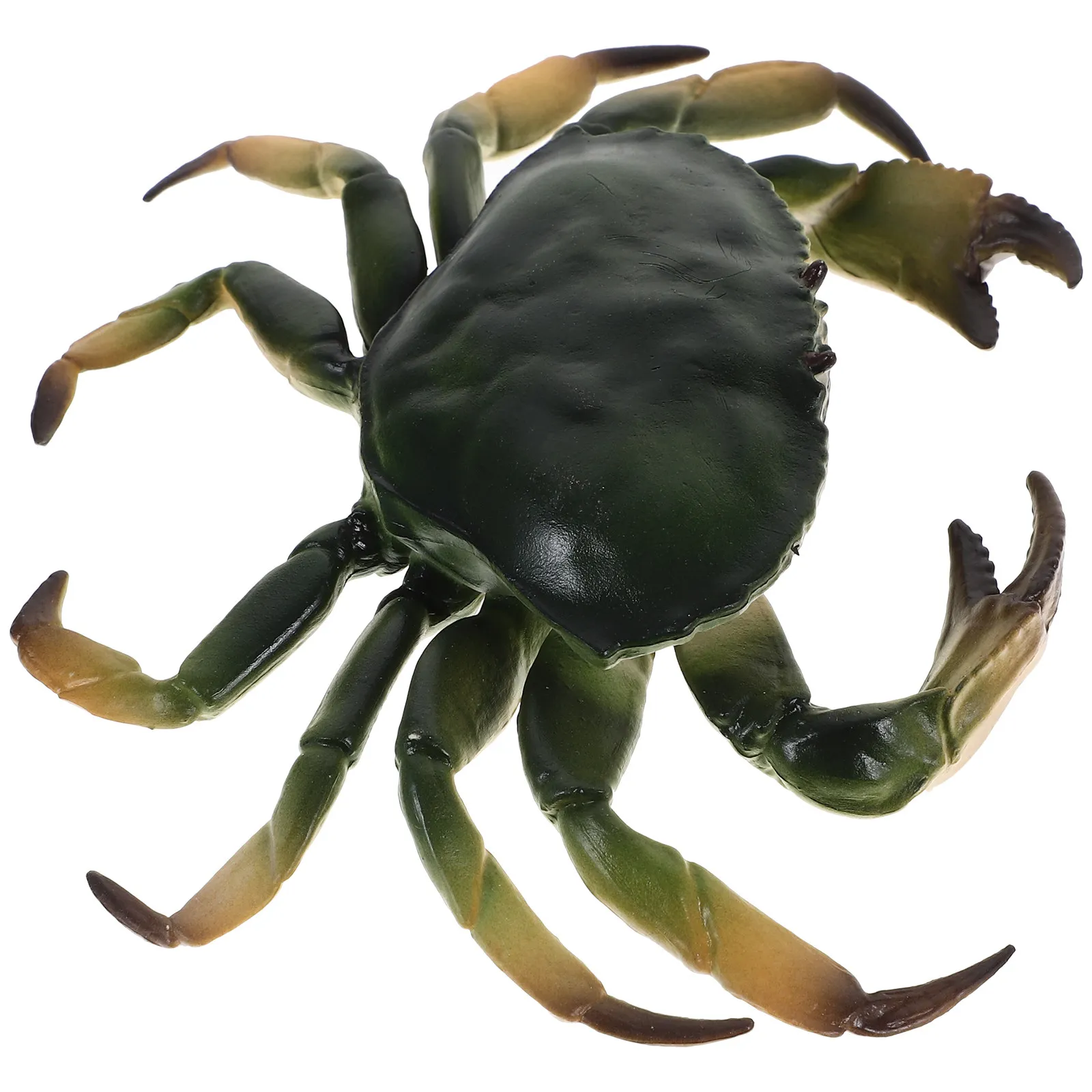vivid-realistic-crab-sculpture-plastic-animal-decoration-for-home-office-nursery-garden-educational-cognition-development