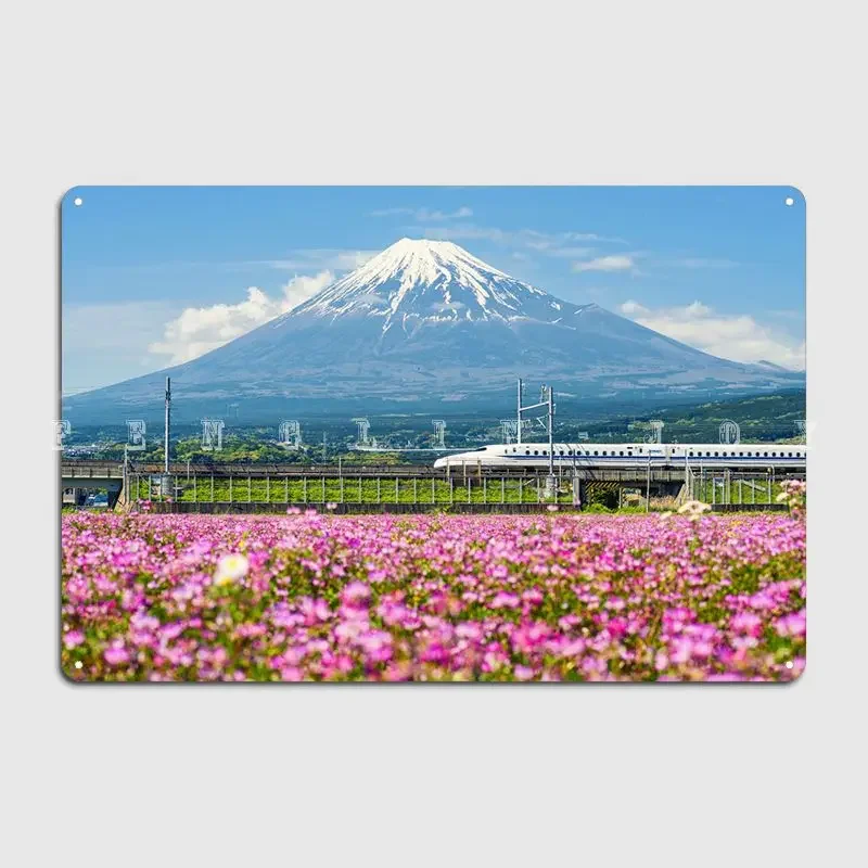 Shinkansen Or Bulle…