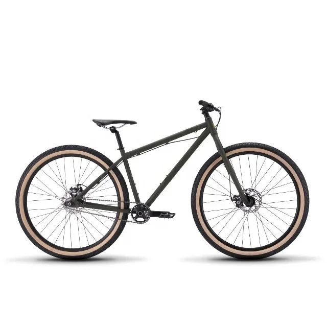 

Factory store New arrival product 29 inch single speed mountain bike for Adult