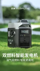 Portable EcoFlow dual fuel intelligent generator Oil-gas combination saving power for ecoflow power station