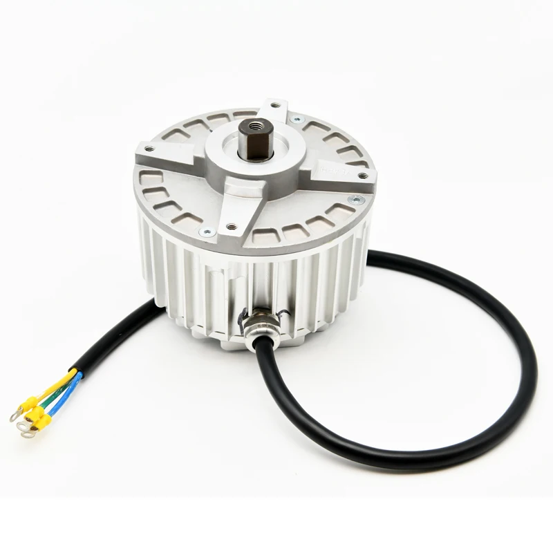 500W -5500W High Efficiency Brushless bldc dc motor for Outdoor Riding on Lawn Mower for High Pressure Washer