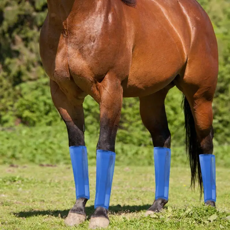 

Horse Leg Guards Reusable Horse Leggins Fly Boots Breathable Mesh For Comfort Eases Leg Fatigue Reduces Stomping