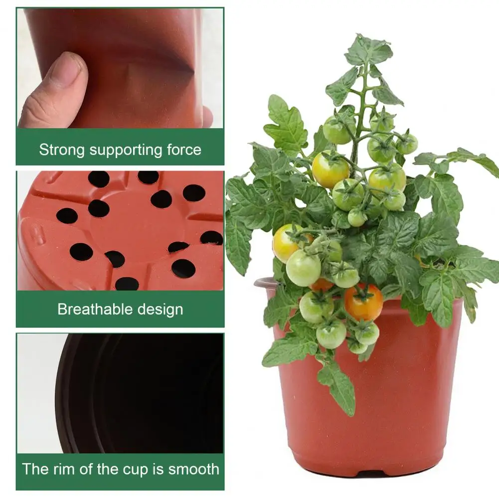 

Plastic Seedlings Pots Transition Pots for Seedlings with Drainage Holes Ideal Flower Pot for Plants Cuttings Seeds Home