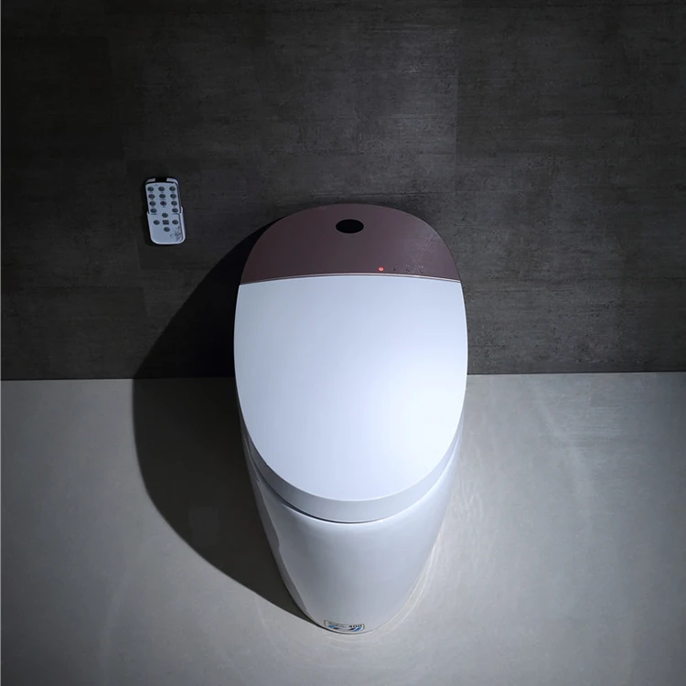 Electronic Intelligent Smart Closestool with Water Spray Toilet Seat