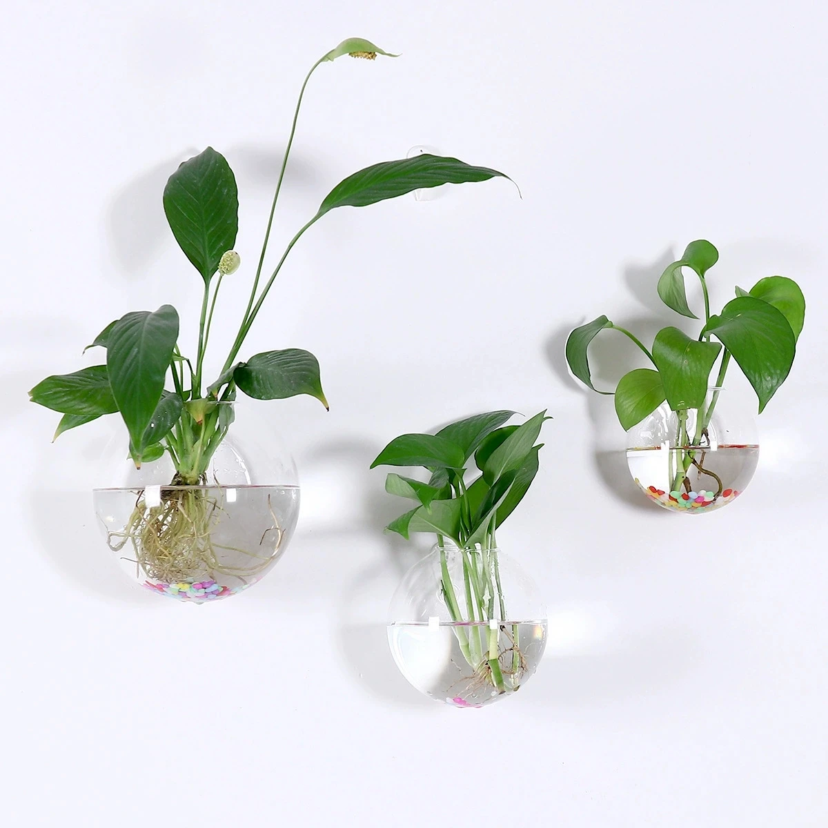 2/4/6/8 Pack Wall Hanging Glass Terrari2um - Self-Watering Hydroponic Planter for Home Office Decor, Handmade Round Crystal Vase