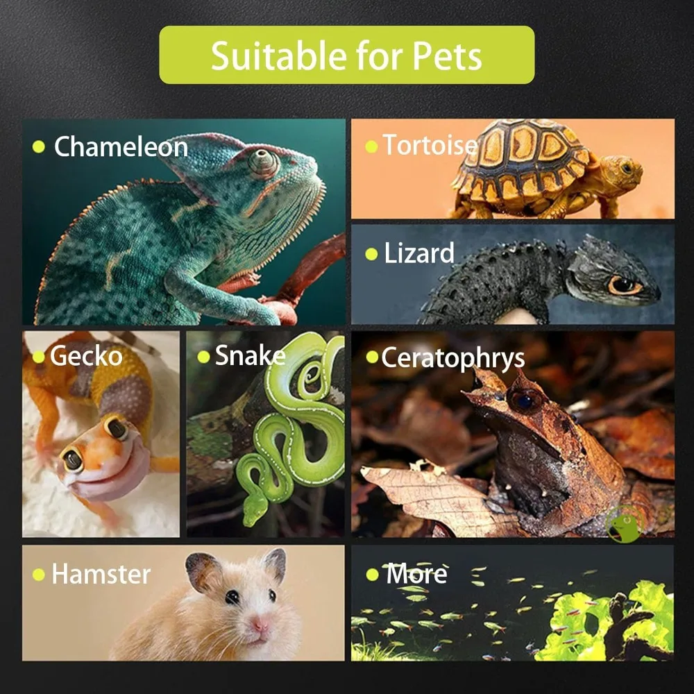 Terrario de vidrio templado para dragón barbudo y otros reptiles - imagen 3