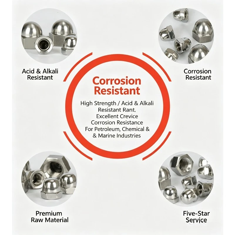 2205 2507 321 904L Stainless Steel & Hastelloy C276 Acorn Nut, Hex Dome Cap Nut DIN1587 Corrosion‑Resistant Fastener